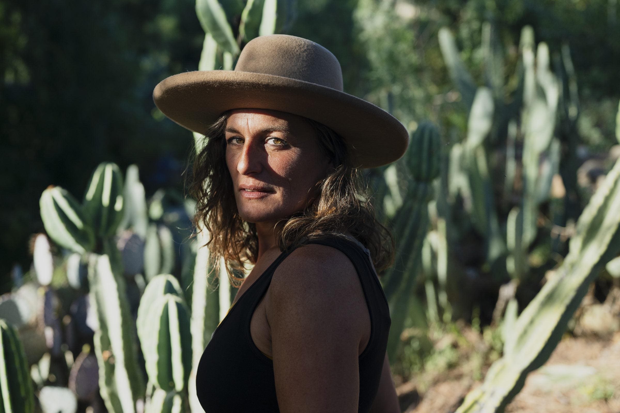 Sonora Daybreak camel open crown hat worn front view in golden desert light, wide brim shading.