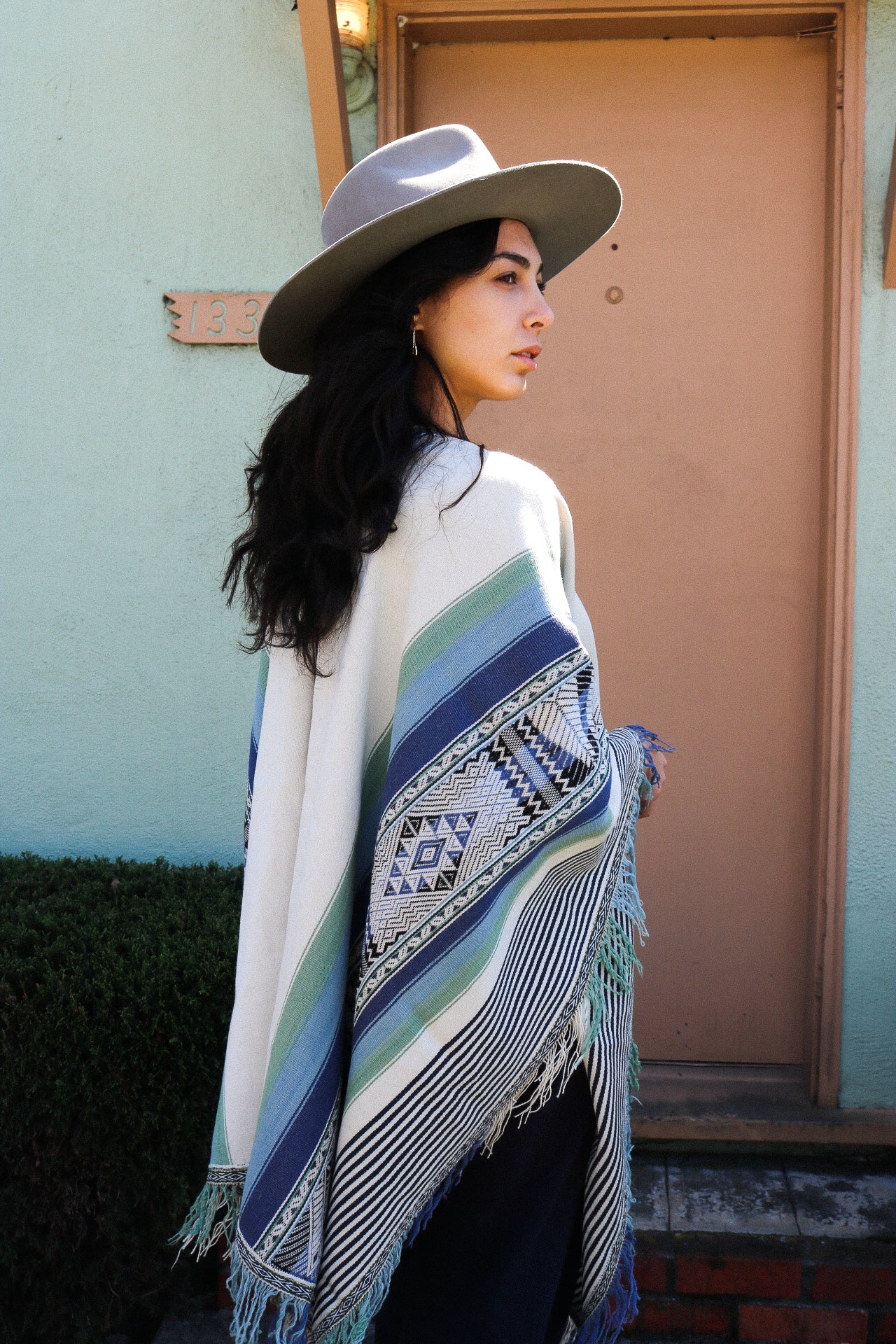 Poncho #4 - Doña Alicia